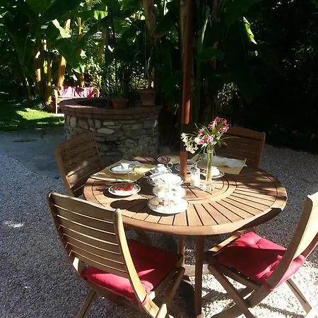 Big Oak Bed & Breakfast *