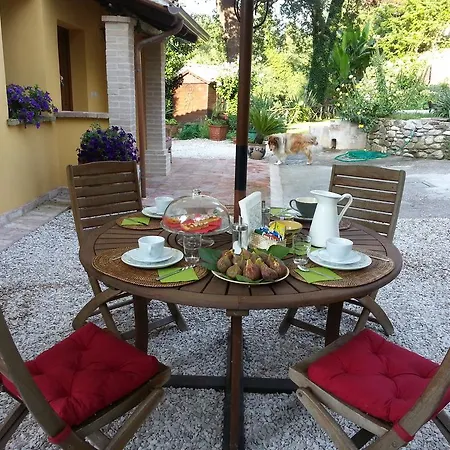 Bed & Breakfast Big Oak Monte Colombo