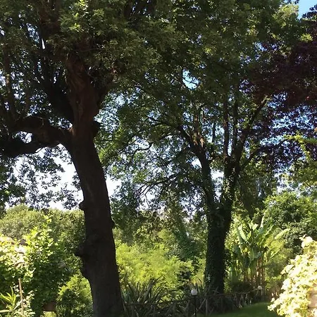 Big Oak Bed & Breakfast Monte Colombo